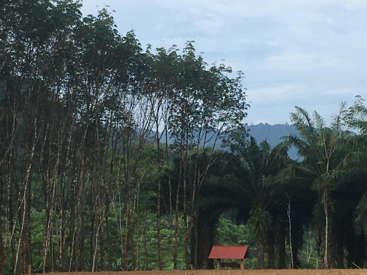 Khao Sok Evergreen House Khao Sok National Park Exterior photo