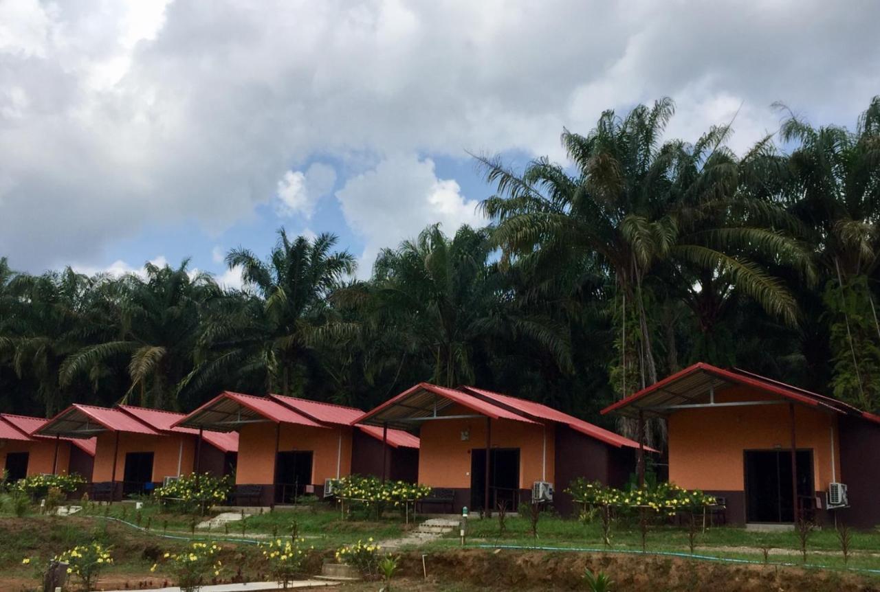 Khao Sok Evergreen House Khao Sok National Park Exterior photo